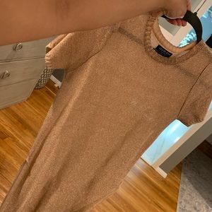 Fashion Nova Sheer Shiny Long Top